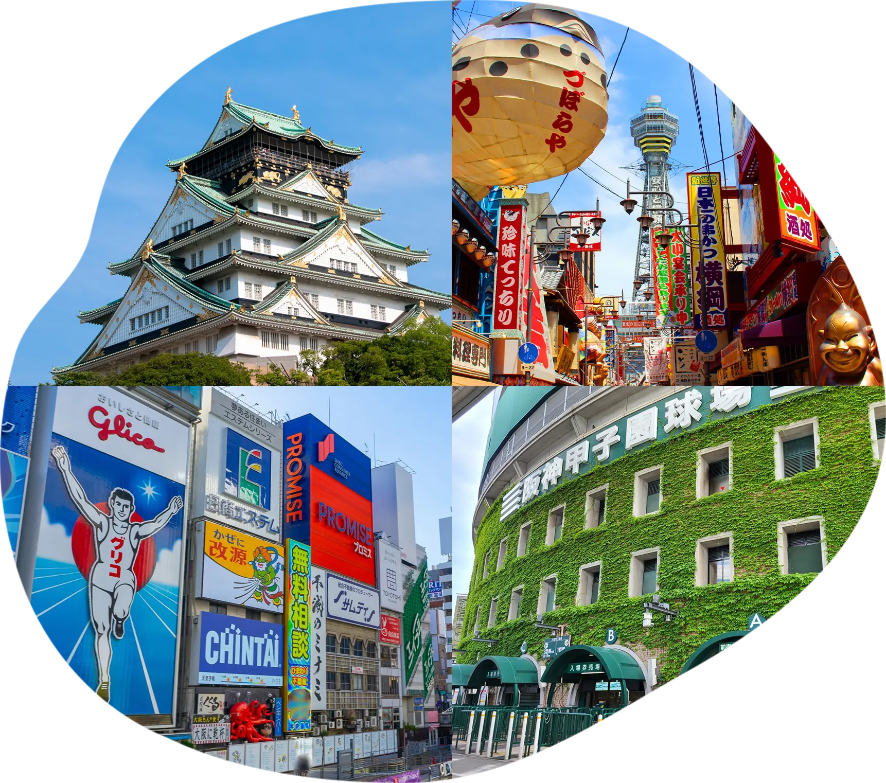 楽しみ方