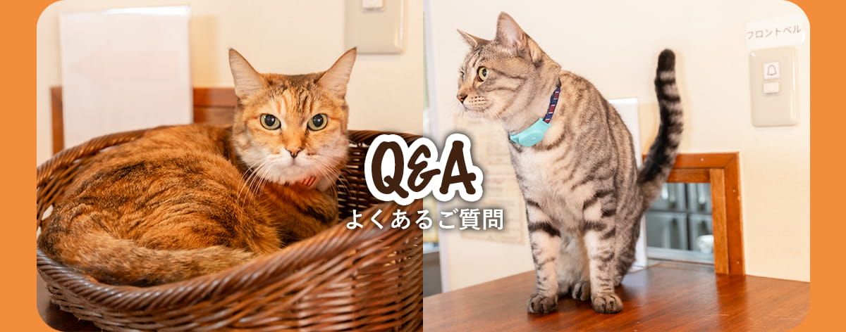 よくあるご質問